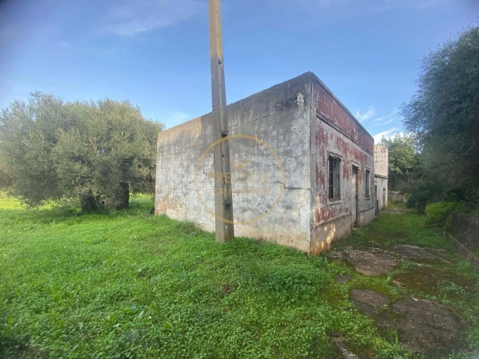 Terreno para Venda em Loule (São Sebastião) Foto 19