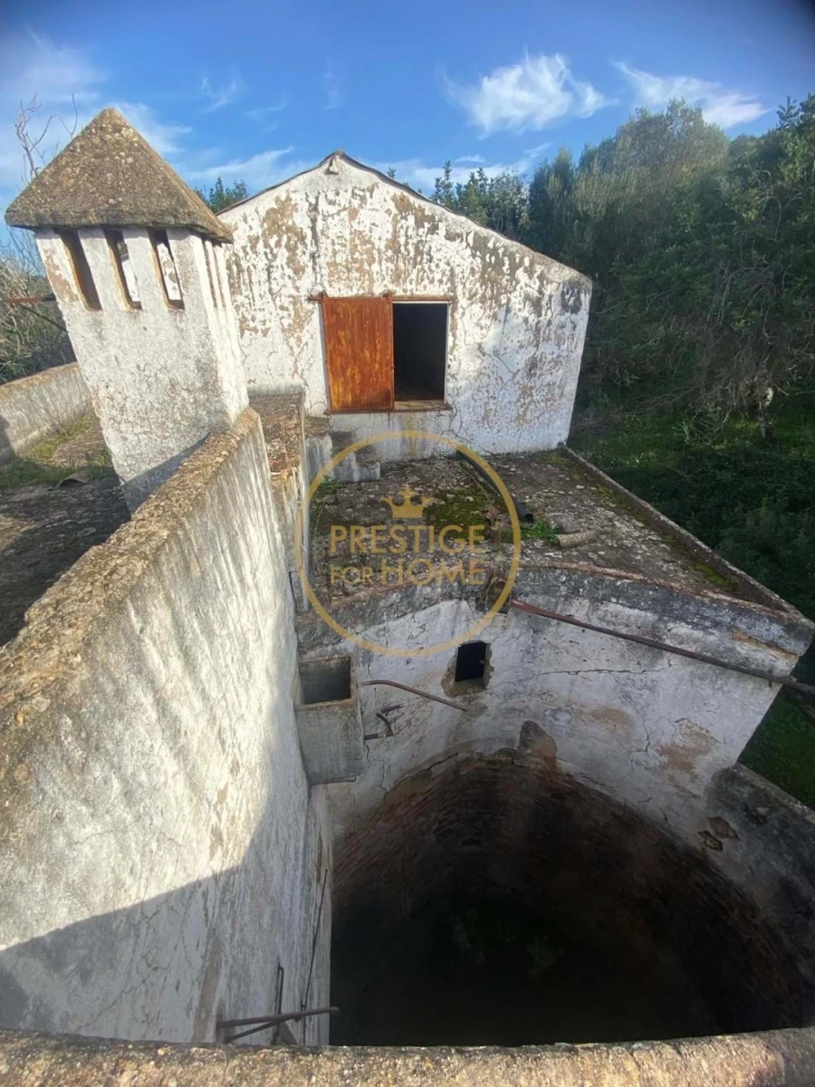 Terreno para Venda em Loule (São Sebastião) Foto 29