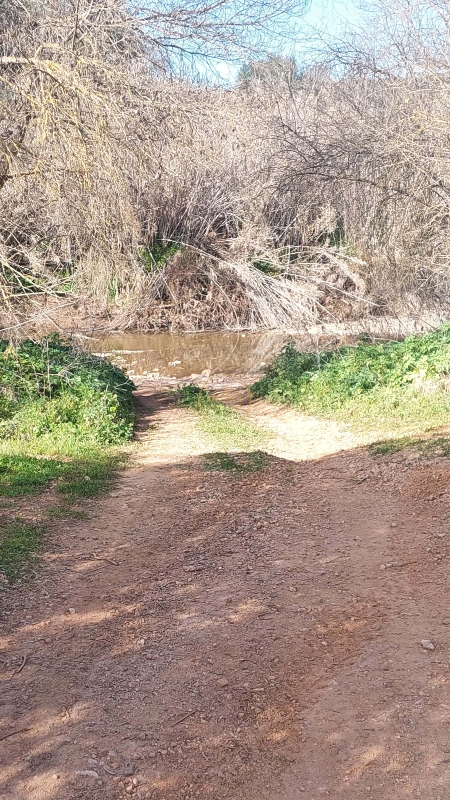 Terreno para Venda em Loule (São Sebastião) Foto 38