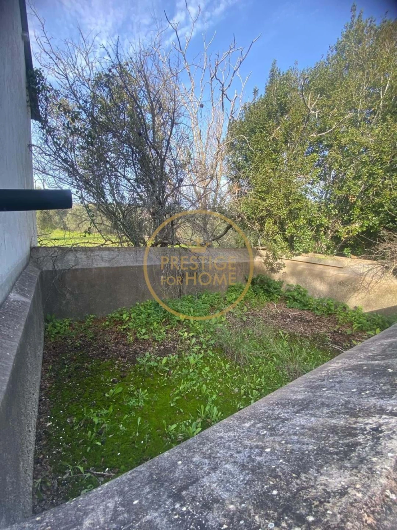 Terreno para Venda em Loule (São Sebastião) Foto 35