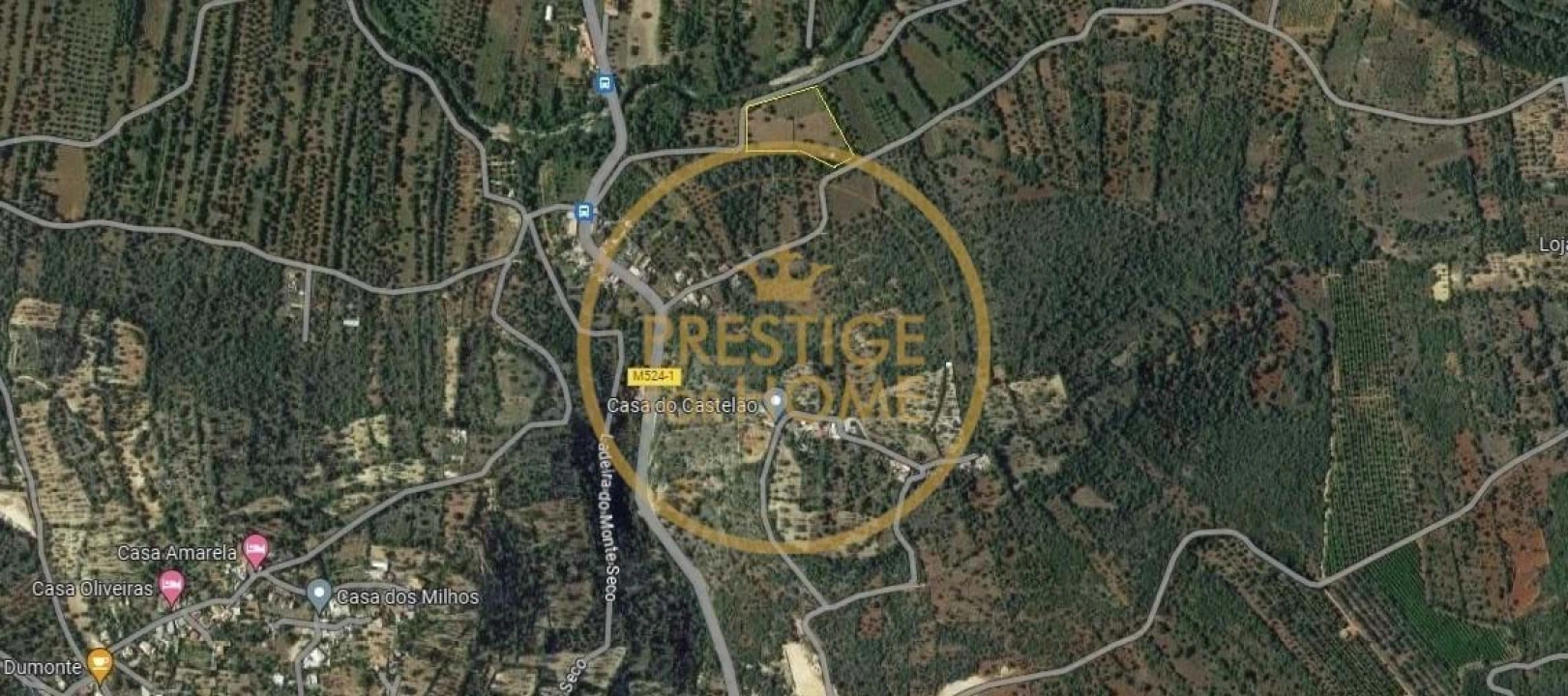Terreno para Venda em Loule (São Sebastião) Foto 41