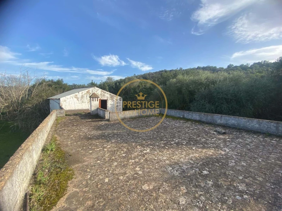 Terreno para Venda em Loule (São Sebastião) Foto 28