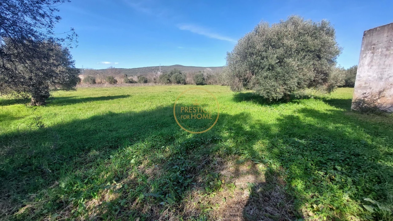 Terreno para Venda em Loule (São Sebastião) Foto 18