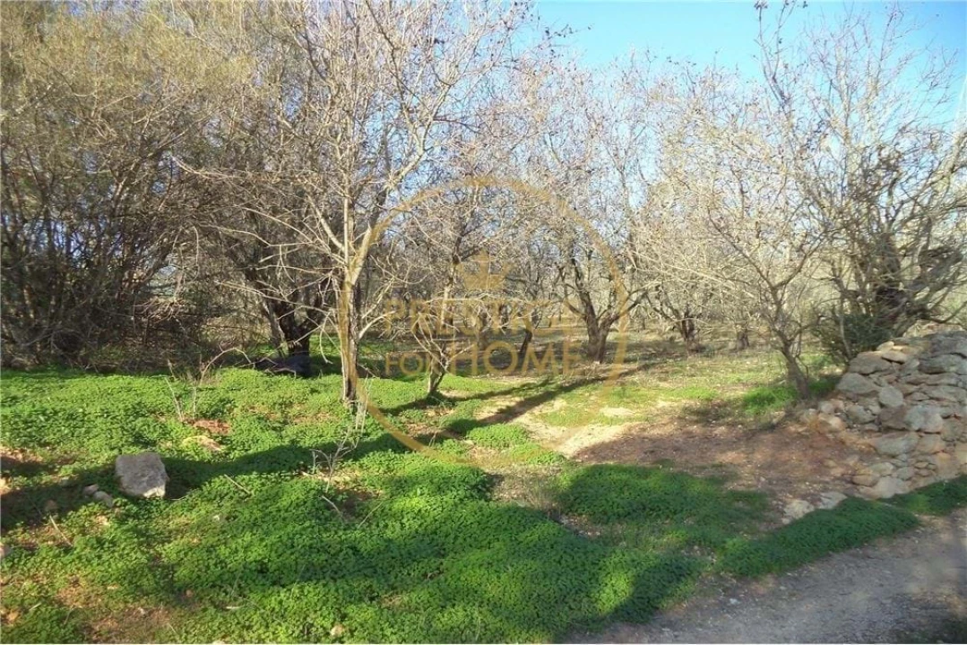 Terreno para Venda em Paderne Foto 6