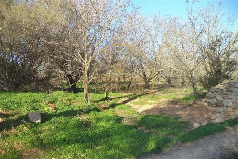 Terreno para Venda em Paderne Foto 6