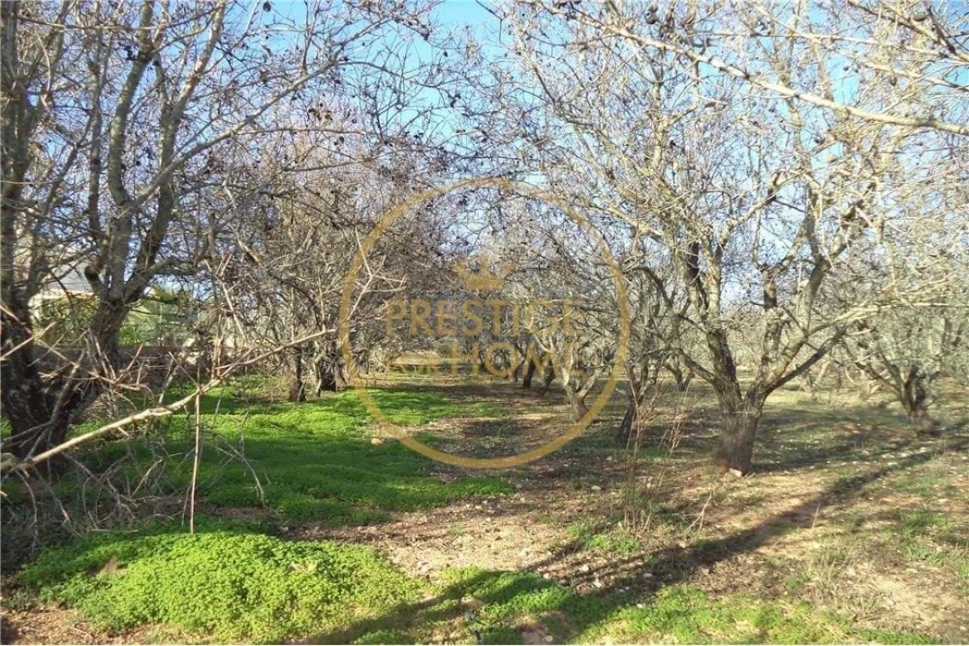 Terreno para Venda em Paderne Foto 4