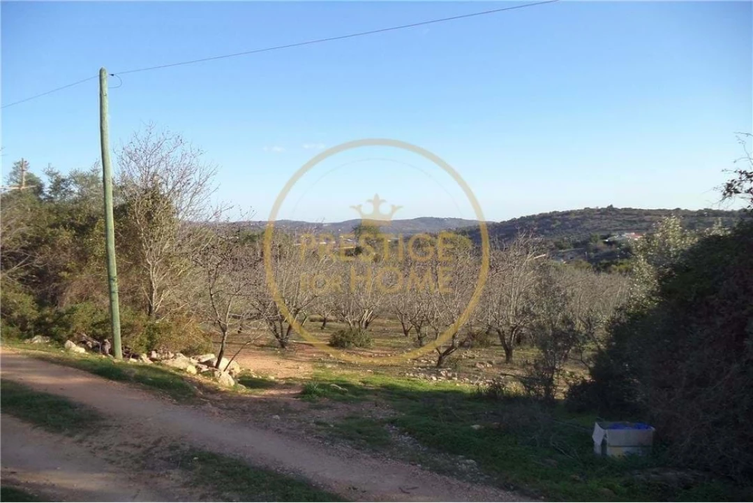 Terreno para Venda em Paderne Foto 5