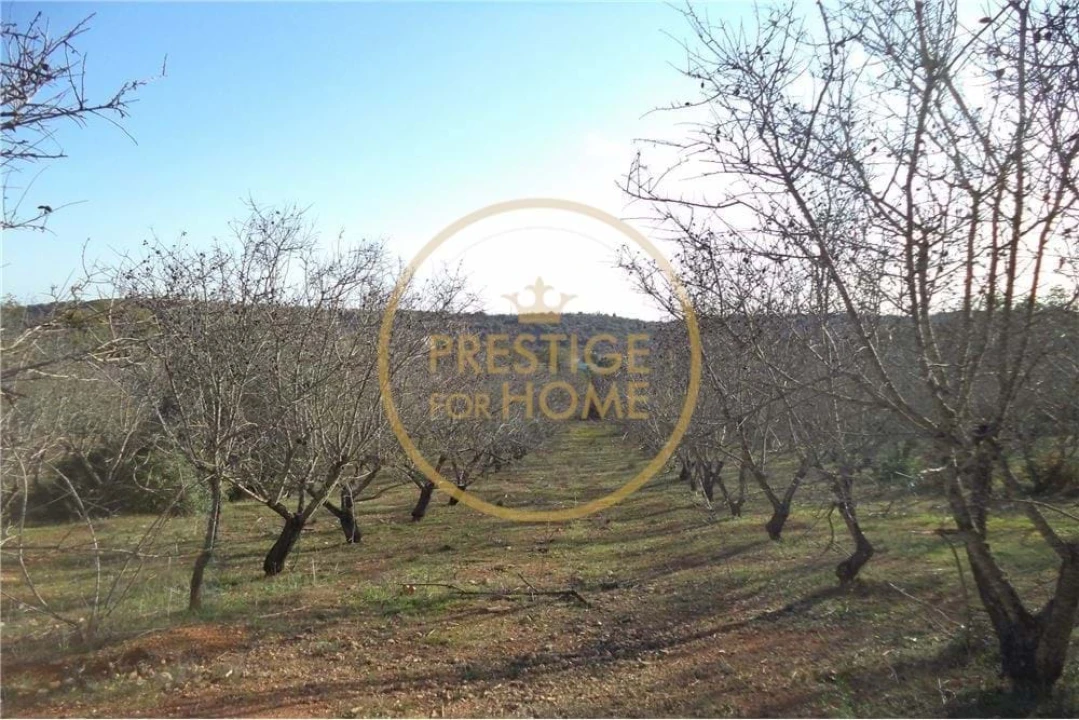 Terreno para Venda em Paderne Foto 1
