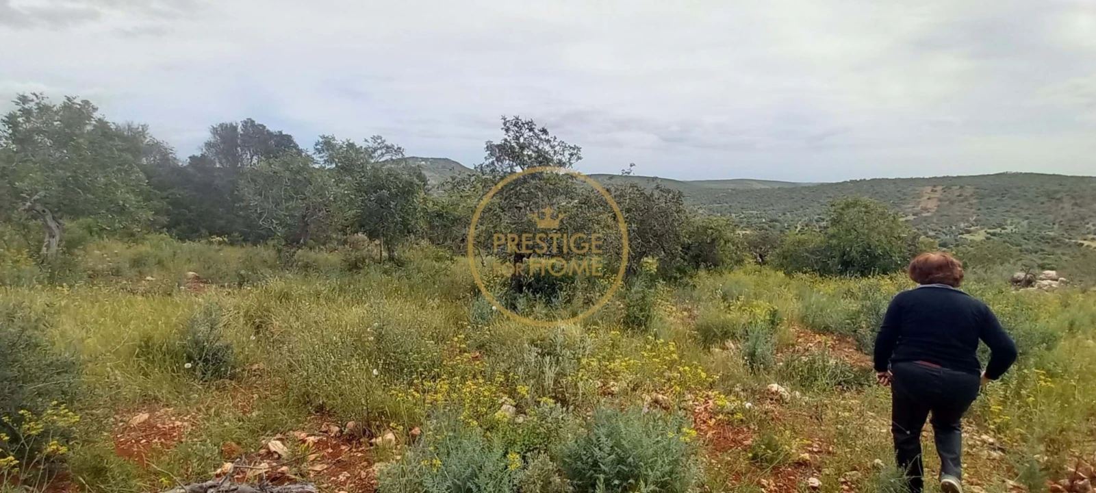 Terreno para Venda em Loule (São Clemente) Foto 10