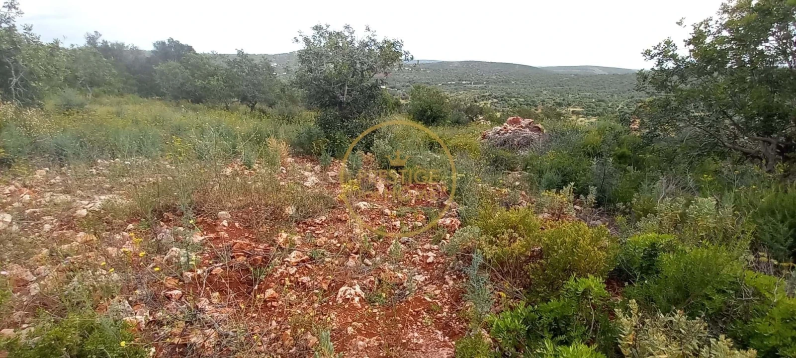 Terreno para Venda em Loule (São Clemente) Foto 14