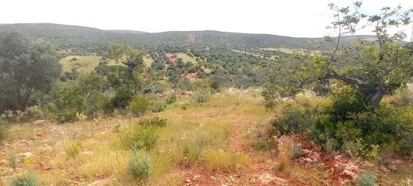 Terreno para Venda em Loule (São Clemente)