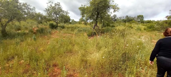 Terreno para Venda em Loule (São Clemente)