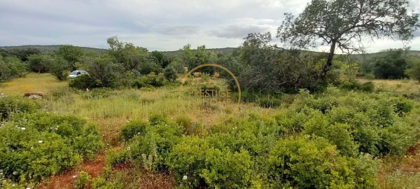 Terreno para Venda em Loule (São Clemente)