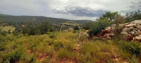 Terreno para Venda em Loule (São Clemente)