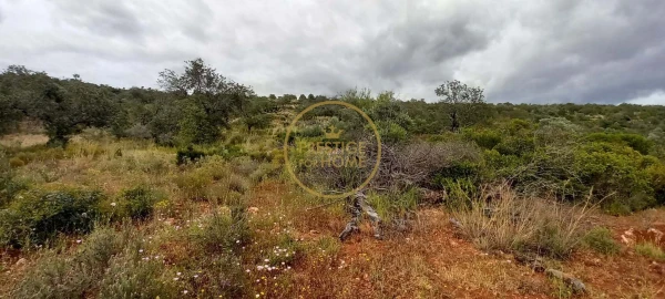 Terreno para Venda em Loule (São Clemente)