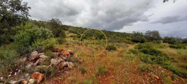 Terreno para Venda em Loule (São Clemente)