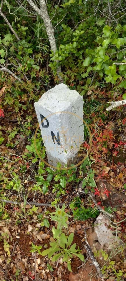 Terreno para Venda em Loule (São Clemente)