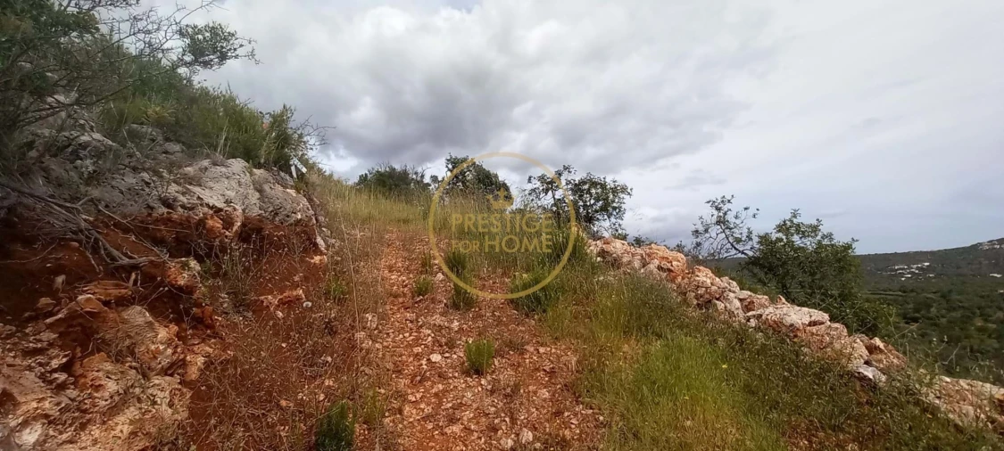 Terreno para Venda em Loule (São Clemente) Foto 17