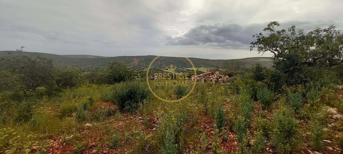 Terreno para Venda em Loule (São Clemente) Foto 2