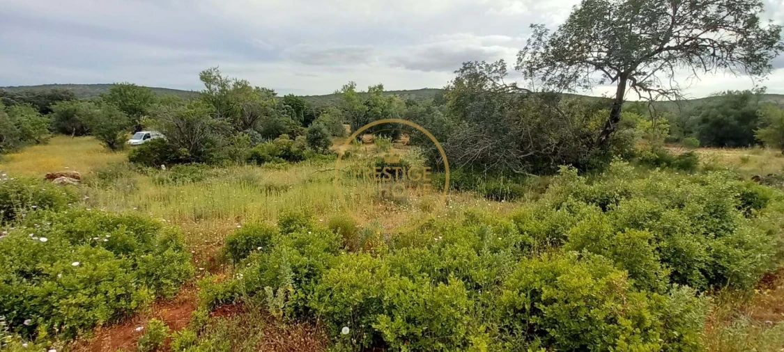 Terreno para Venda em Loule (São Clemente) Foto 3
