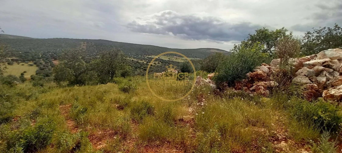 Terreno para Venda em Loule (São Clemente) Foto 15