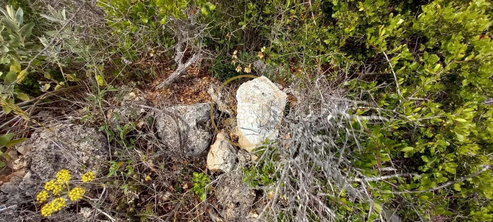 Terreno para Venda em Loule (São Clemente) Foto 13