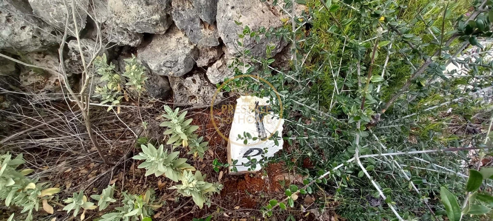 Terreno para Venda em Loule (São Clemente) Foto 12