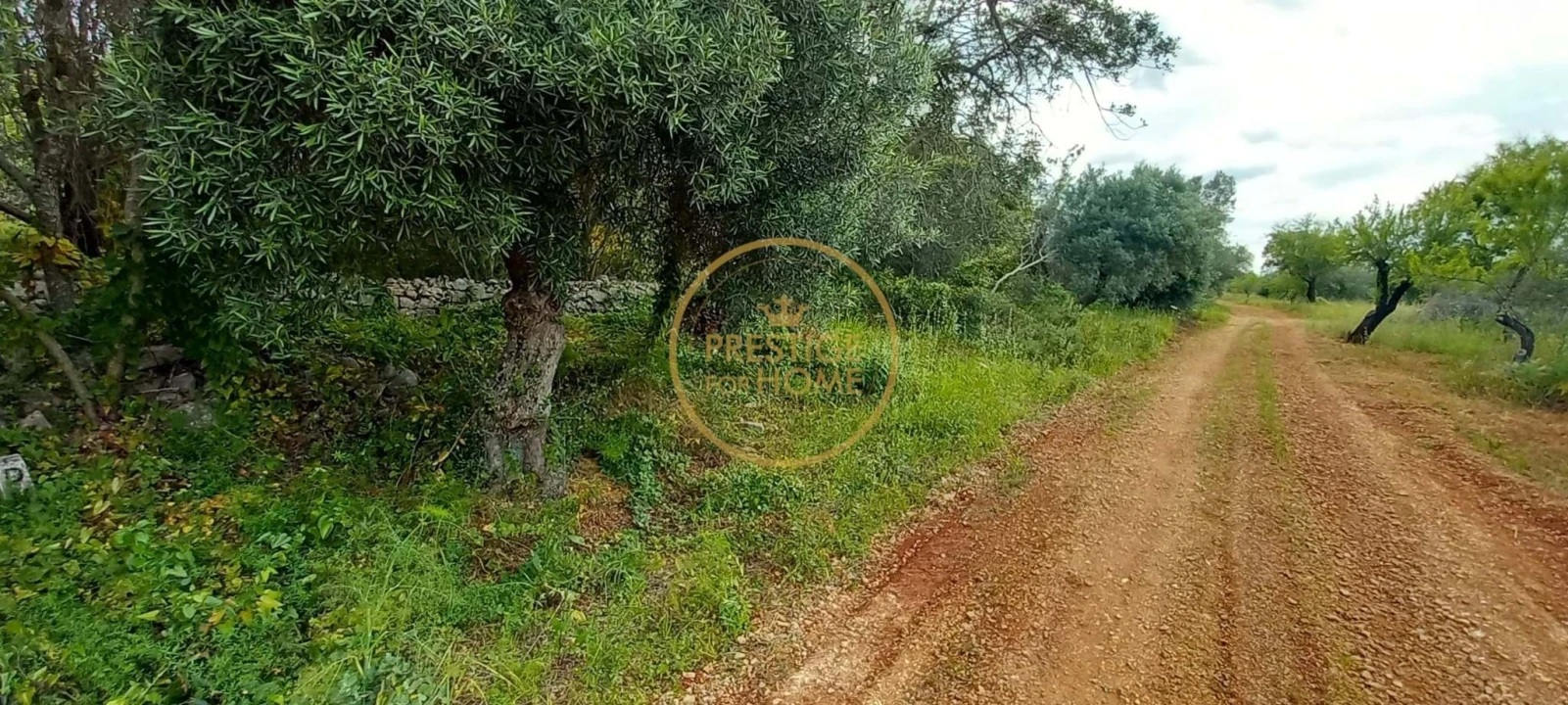 Terreno para Venda em Loule (São Clemente) Foto 6