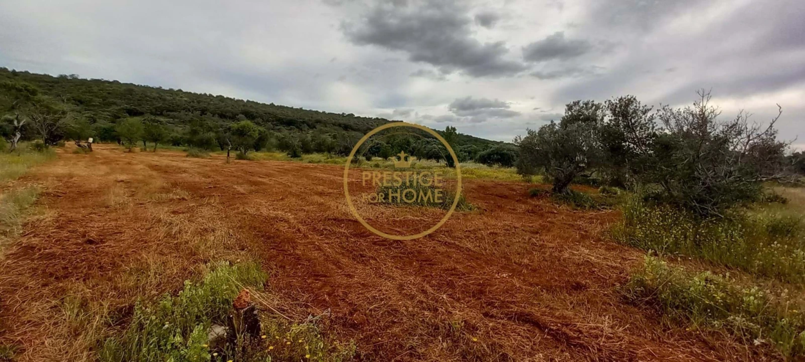 Terreno para Venda em Loule (São Clemente) Foto 1