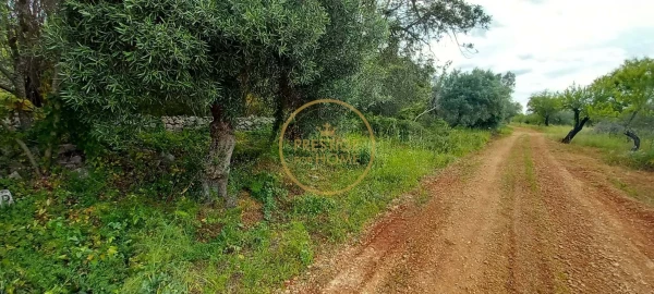 Terreno para Venda em Loule (São Clemente)