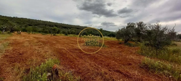Terreno para Venda em Loule (São Clemente)