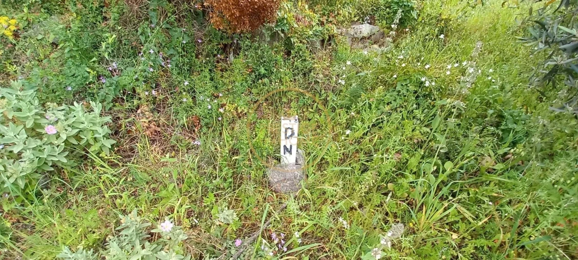 Terreno para Venda em Loule (São Clemente) Foto 5