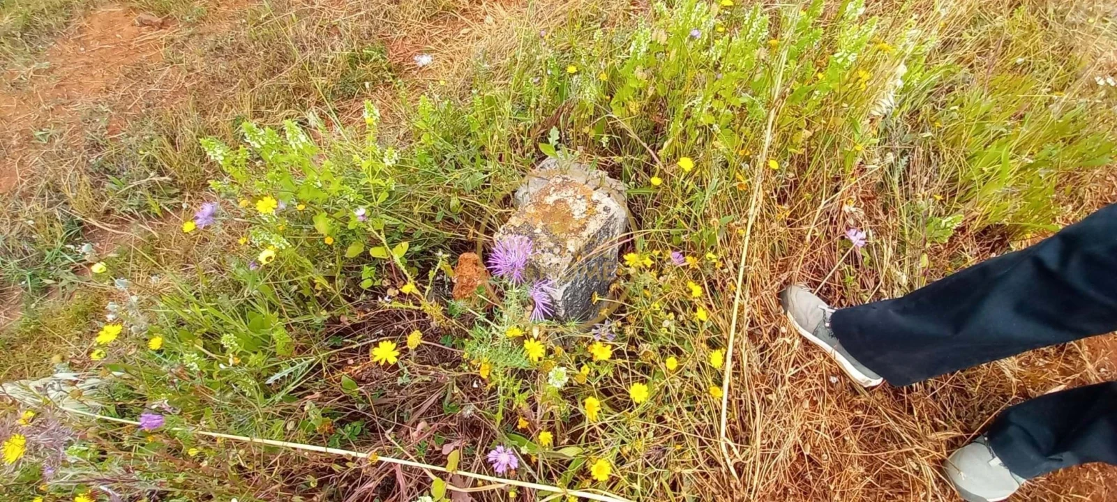 Terreno para Venda em Loule (São Clemente) Foto 2