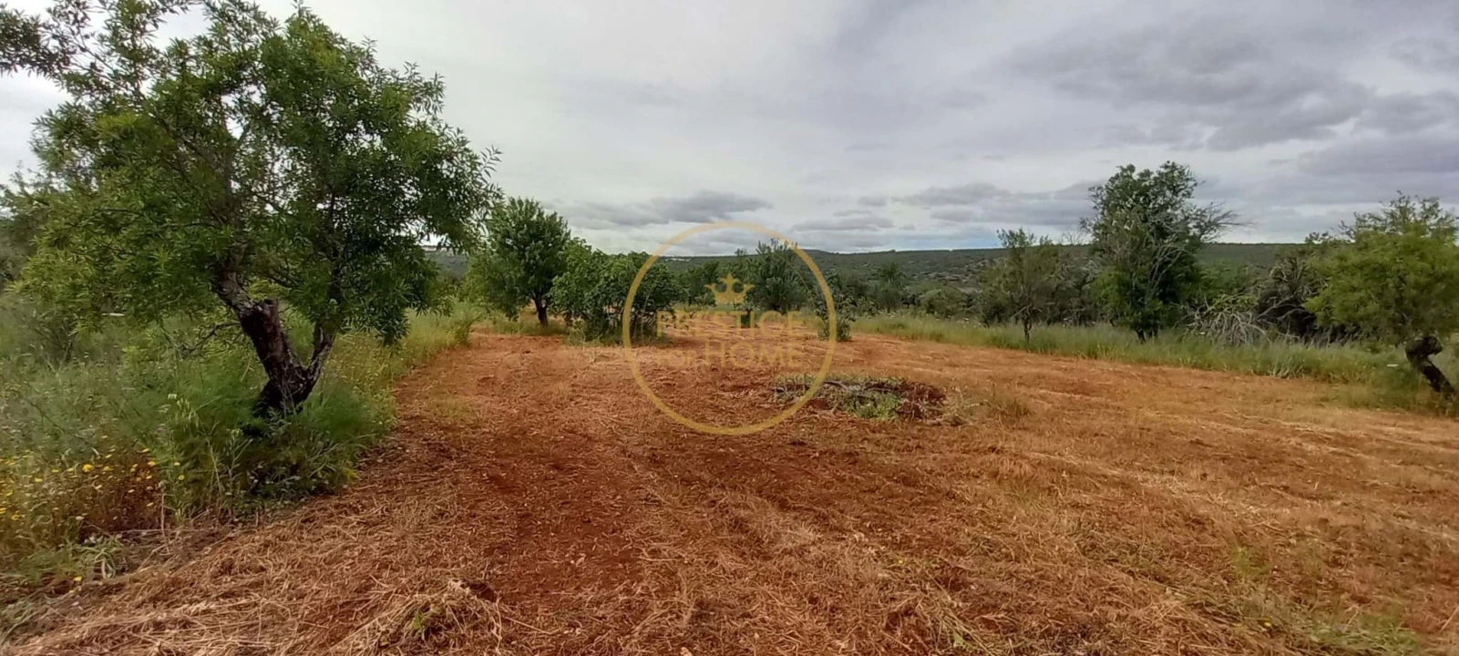 Terreno para Venda em Loule (São Clemente) Foto 8