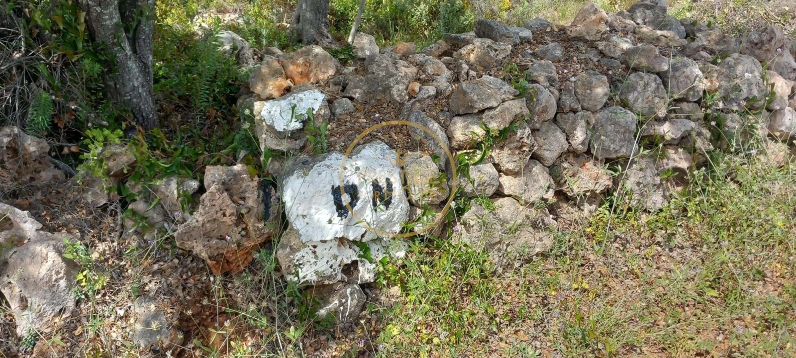 Terreno para Venda em Alte Foto 6