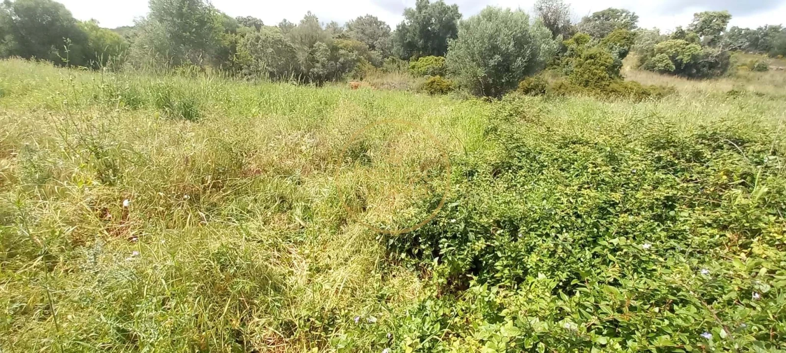 Terreno para Venda em Alte Foto 9
