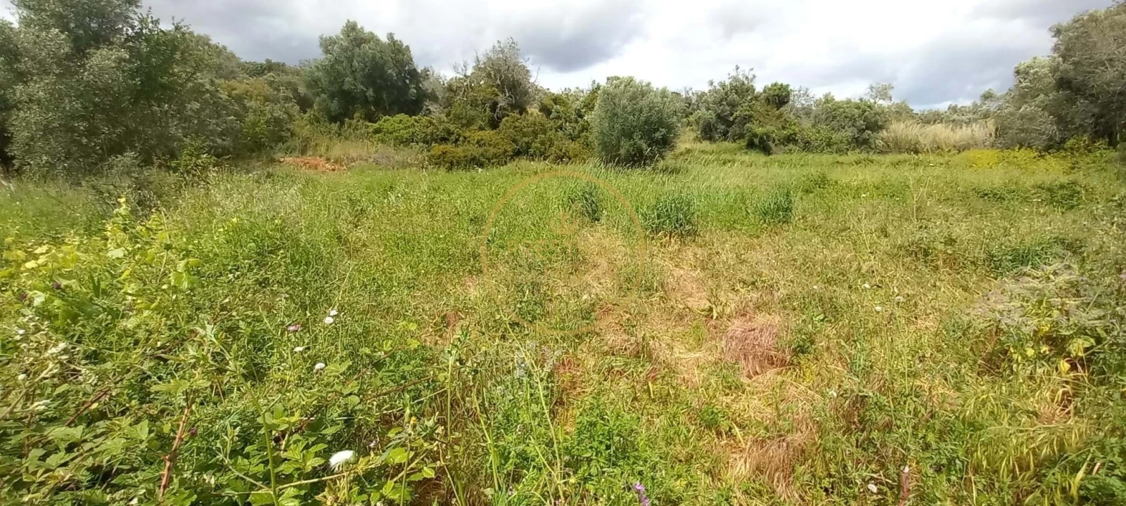 Terreno para Venda em Alte Foto 7