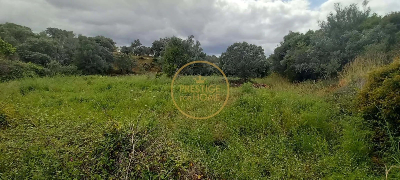 Terreno para Venda em Alte Foto 3