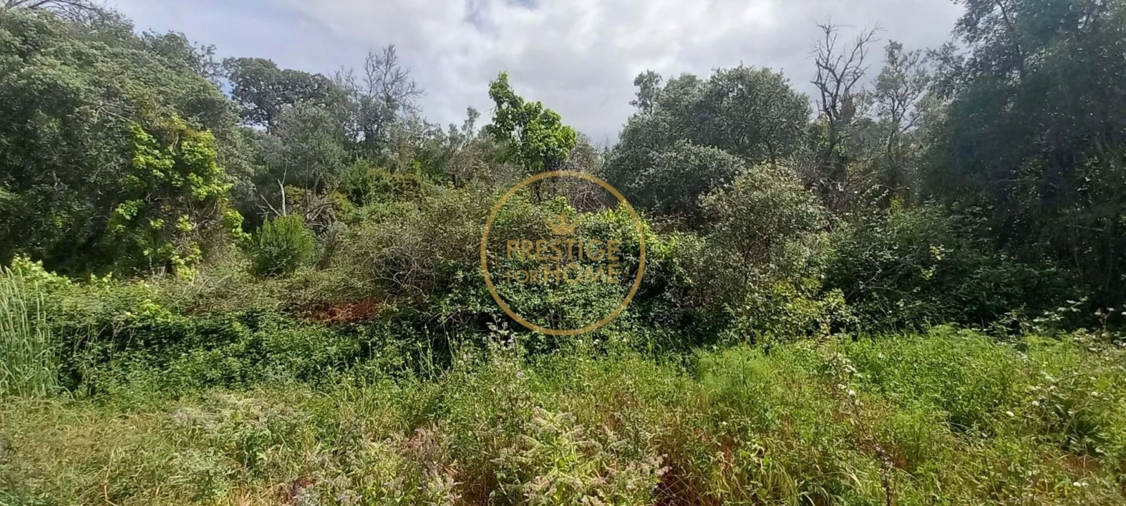 Terreno para Venda em Alte Foto 8