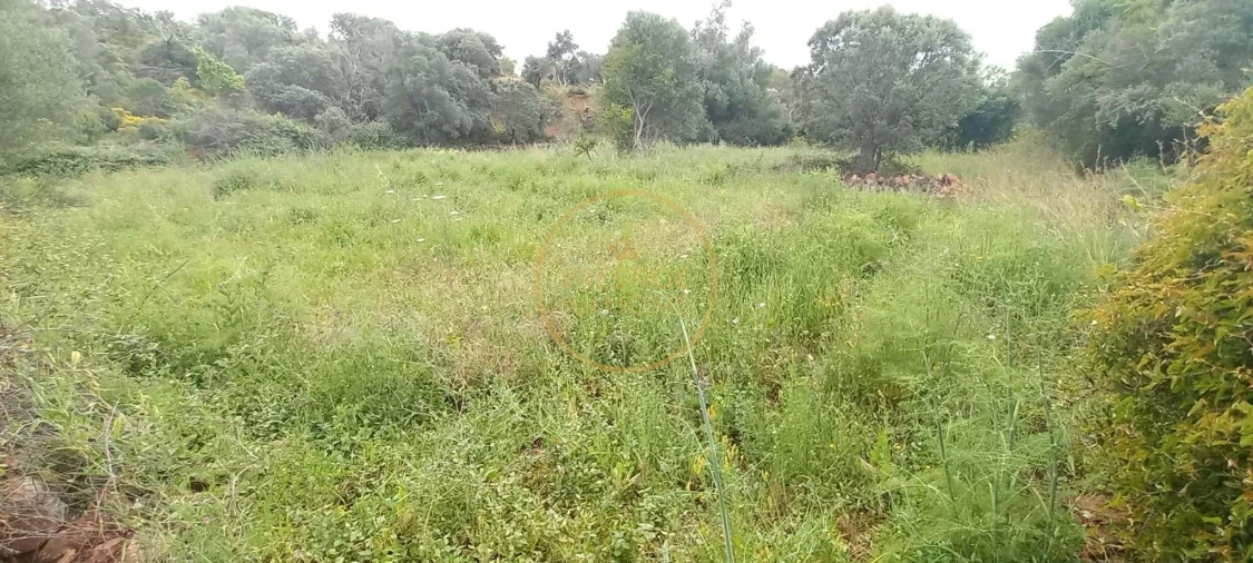 Terreno para Venda em Alte Foto 10