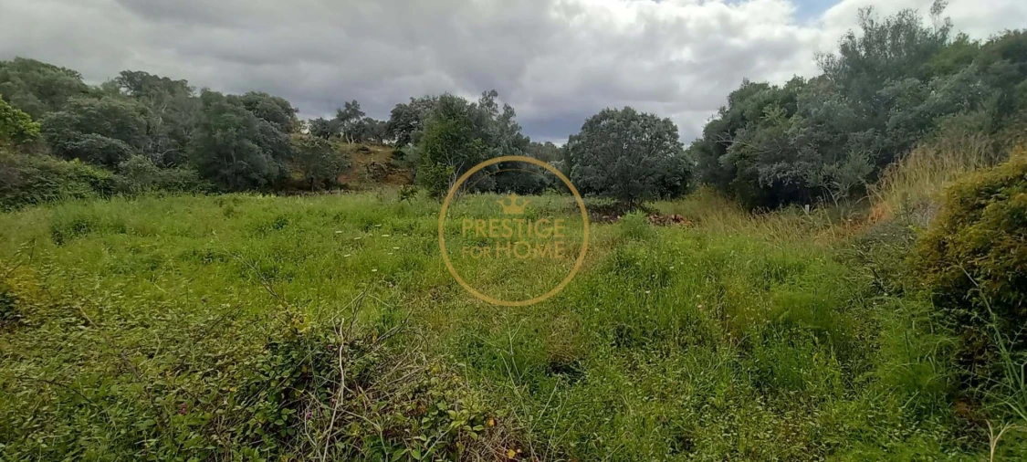 Terreno para Venda em Alte Foto 3