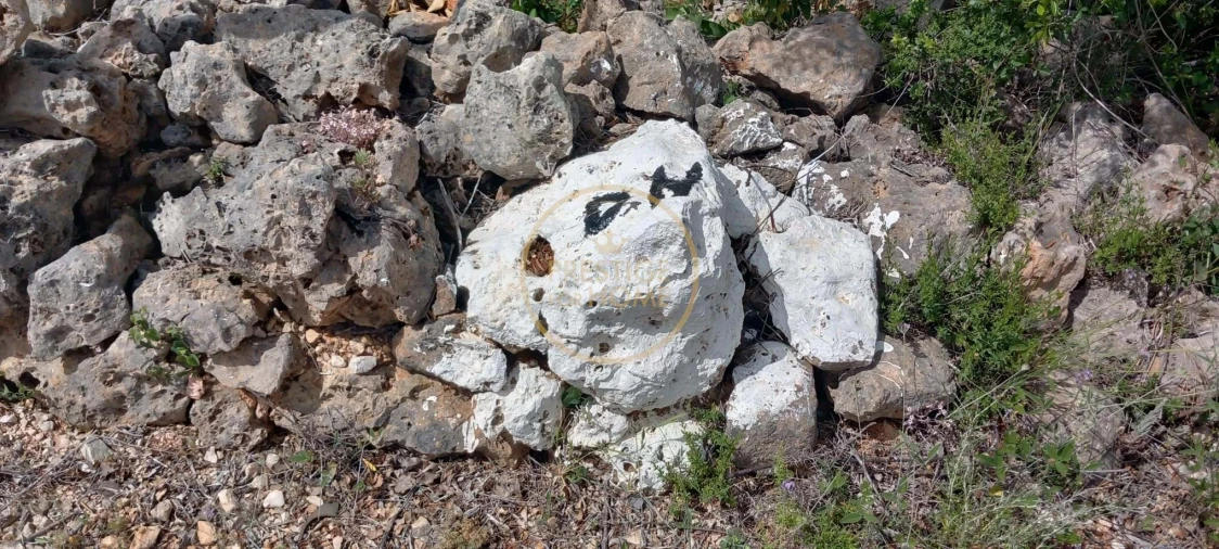 Terreno para Venda em Alte Foto 4