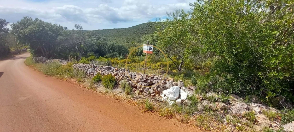 Terreno para Venda em Alte Foto 5