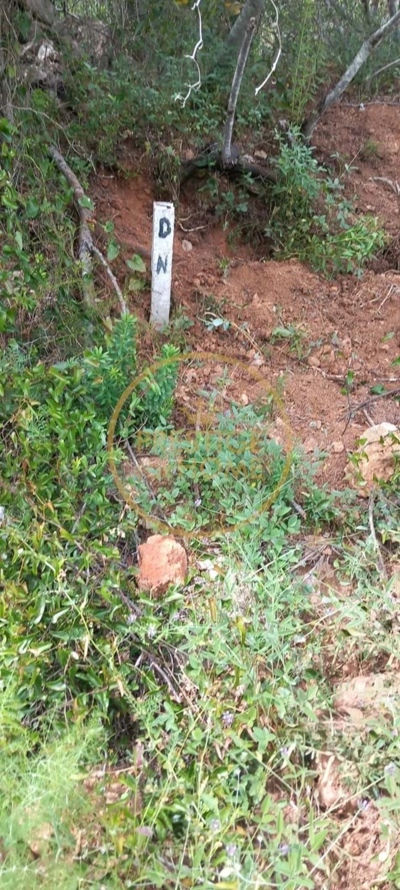 Terreno para Venda em Alte Foto 12