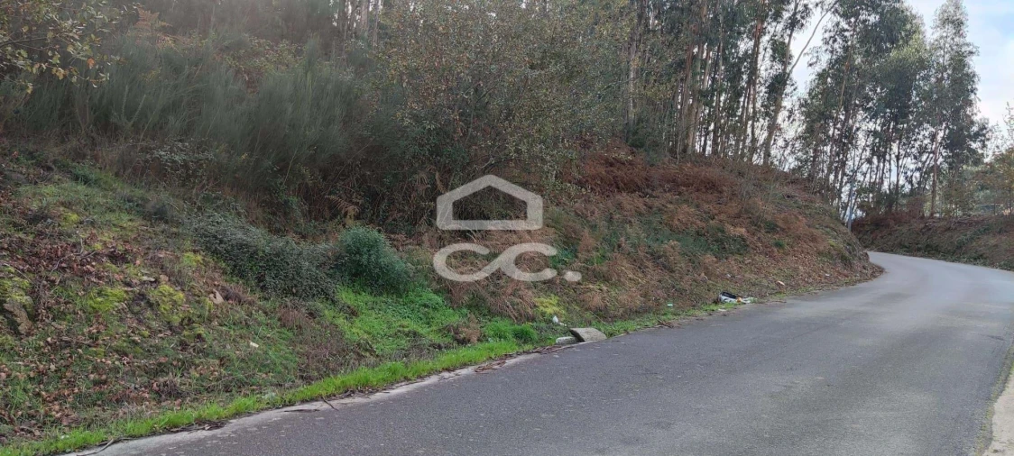 Terreno para Venda em Meinedo Foto 3