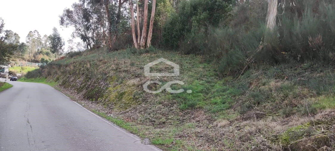 Terreno para Venda em Meinedo