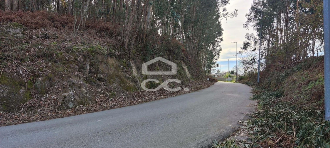 Terreno para Venda em Meinedo Foto 3