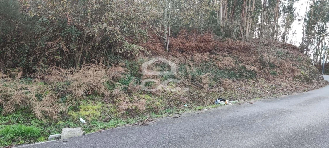 Terreno para Venda em Meinedo Foto 2