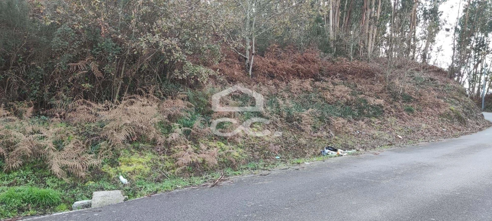 Terreno para Venda em Meinedo Foto 2