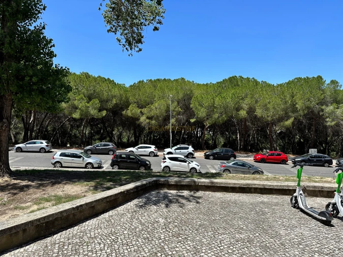 Negócio para Venda em Olivais Foto 36